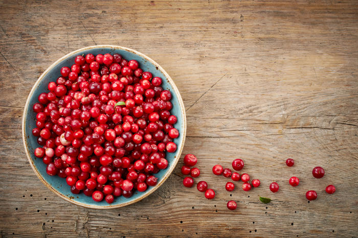 Homemade Dried Cranberries + Fresh Cranberry Ideas