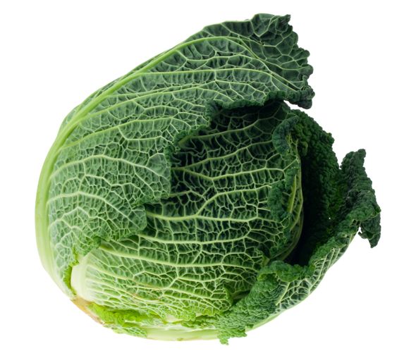 Cabbage