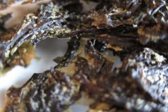 Seaweed chips