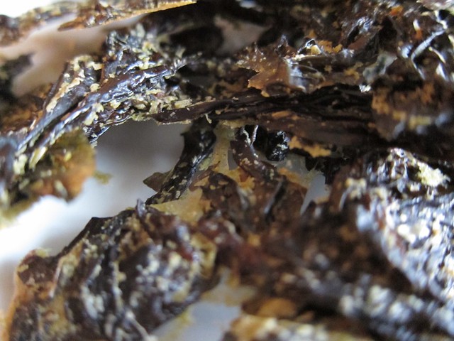 Seaweed chips
