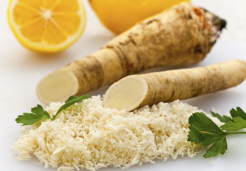 Horseradish Root