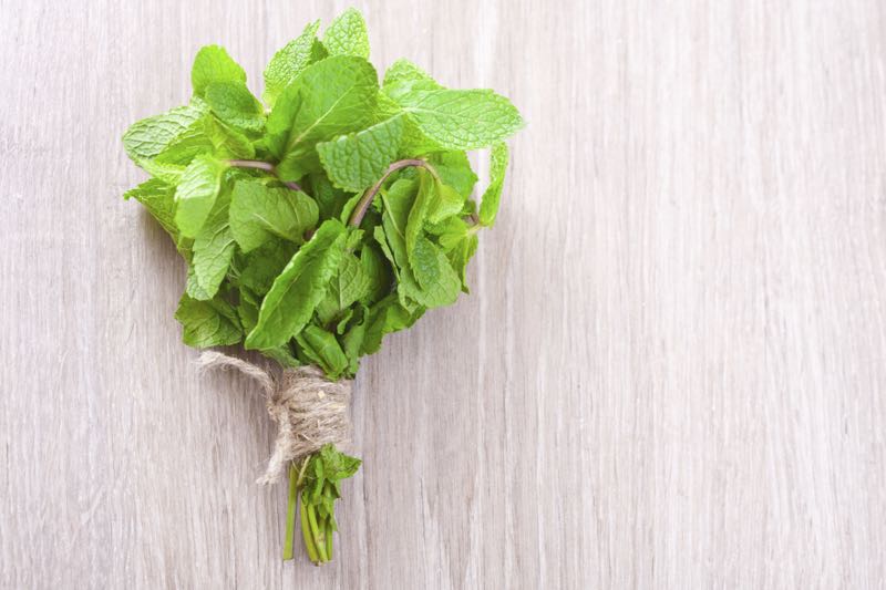 10 Amazing Things You Can Do With Mint