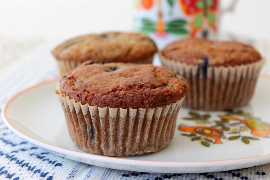 Gluten Free Blueberry Muffins