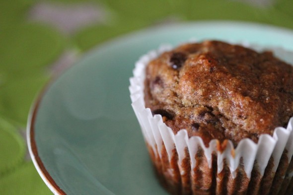 gluten-free chocolate chip muffins