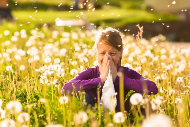 Can Probiotics Prevent Allergies?