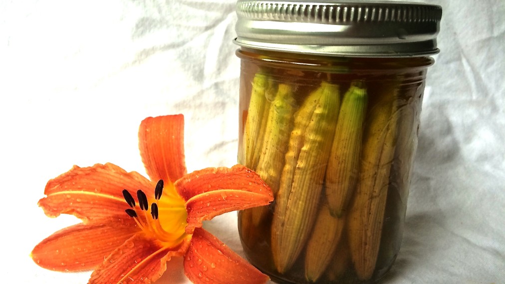 Day lilies preserved in Cider Vinegar