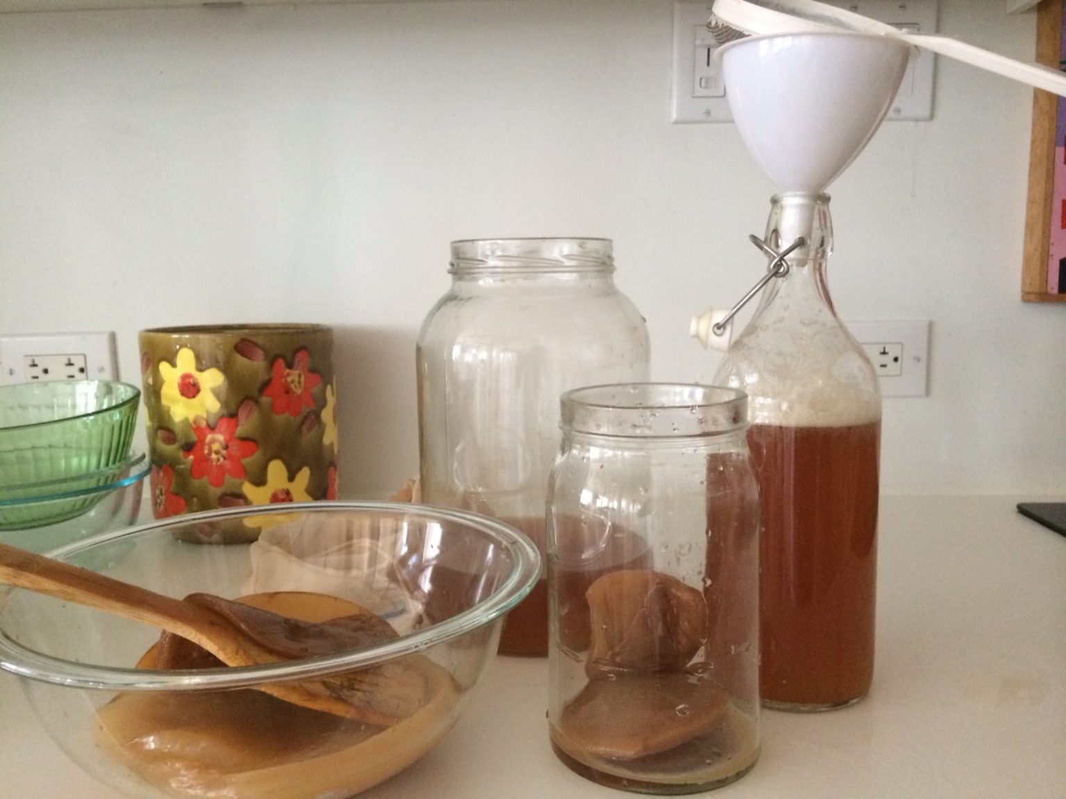 Quick and Easy Guide To Brewing Kombucha