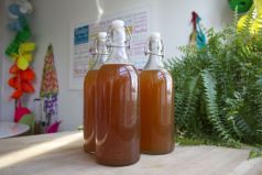 Quick and Easy Kombucha Making