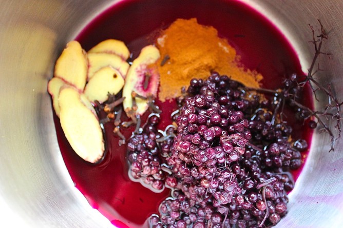 Elderberry Cooking