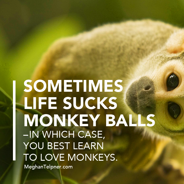Quote: Learning To Love Monkeys