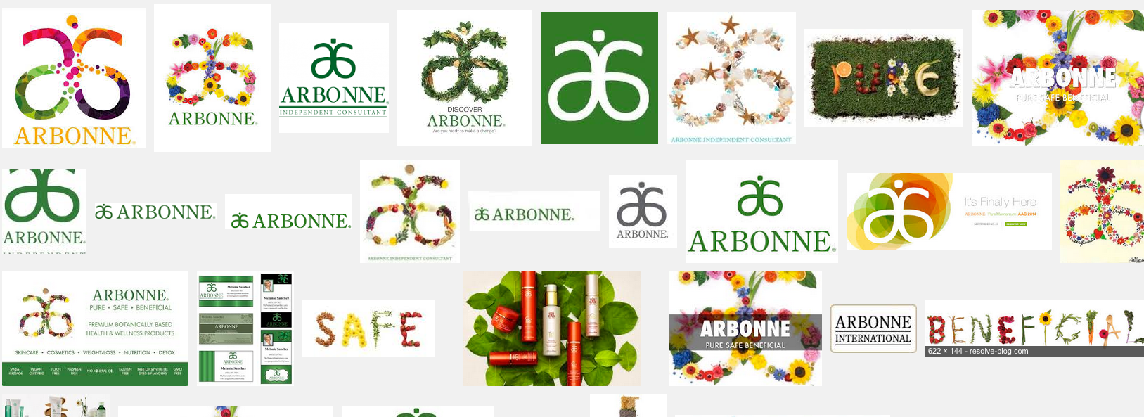 arbonne independent consultant job description