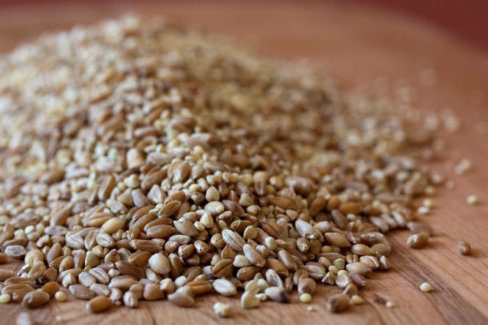 Should You Be Avoiding Grains?
