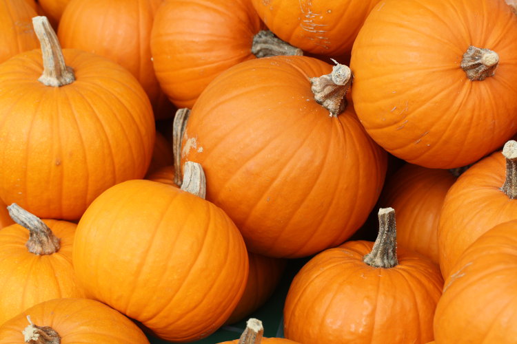 6 Ways to Use Pumpkin
