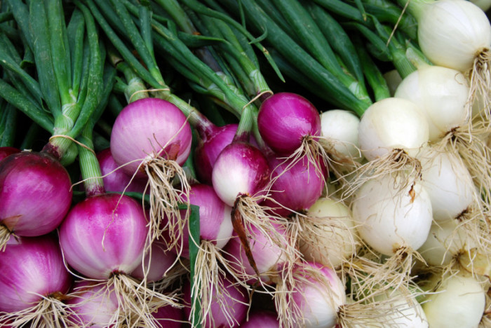 Immune Boosting Foods