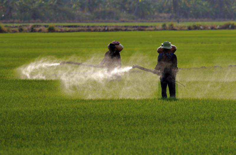 Farmer spraying pesticide