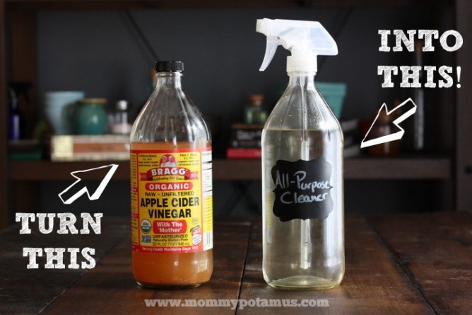 All Purpose Cleaner - Non-Toxic Home Cleaning Recipes