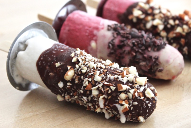 Coconut Kefir Ice Cream Pops