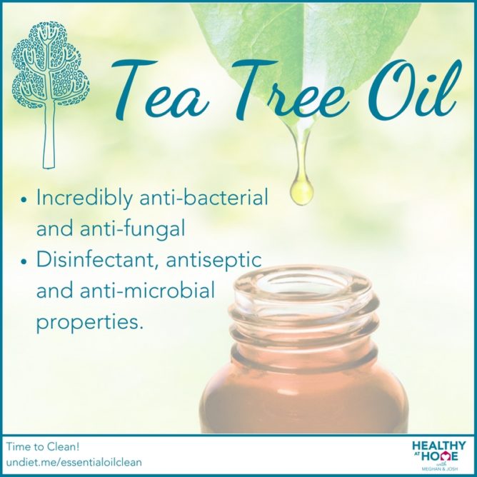 Tea Tree Oil 