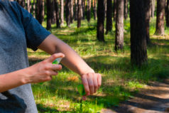 Natural Bug Repellent