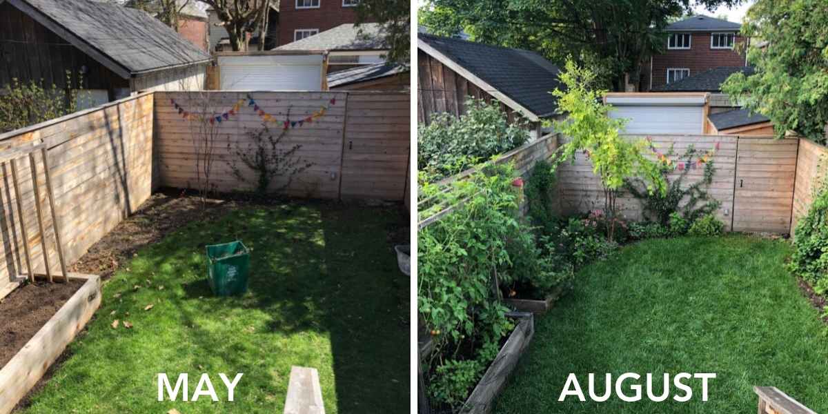 Greatest Lessons from My Home Garden