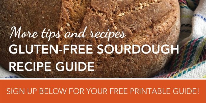 Sourdough Download