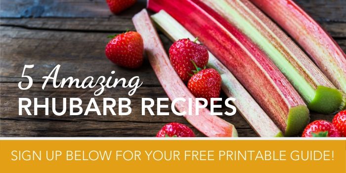 5 rhubarb recipes