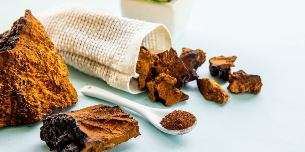 Chaga - Herbs Worth Having On Hand