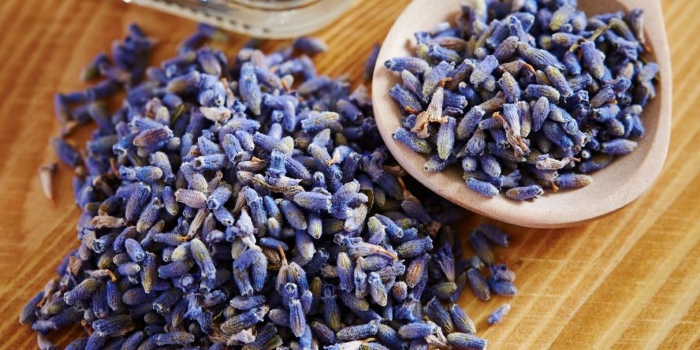 Lavender - Herbs Worth Having On Hand