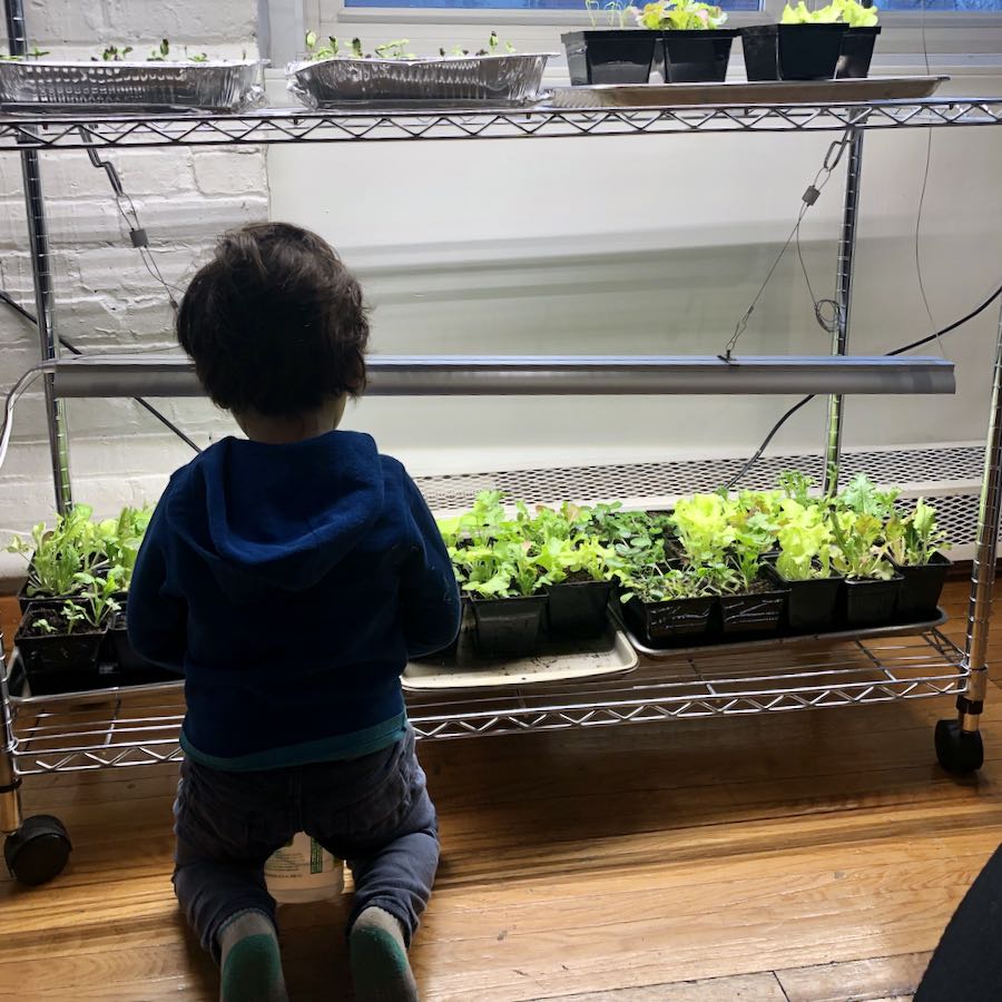 Children Growing food