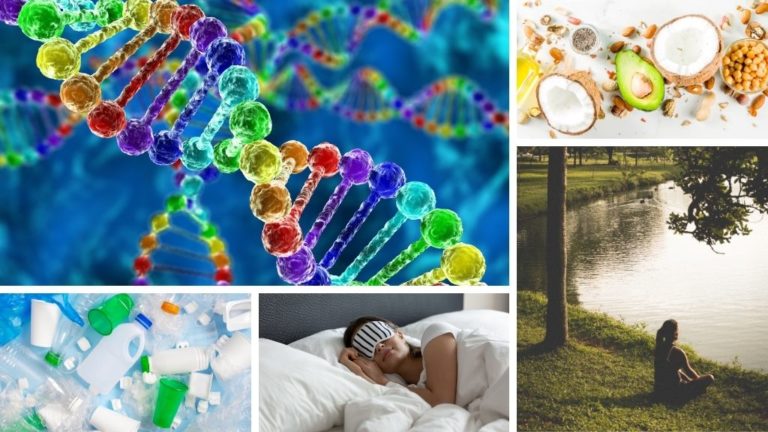 What is Epigenetics, and How It Affects Disease Prevention