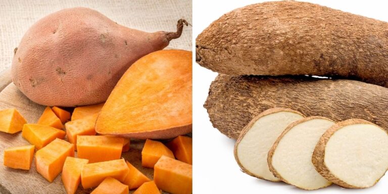 Sweet Potato