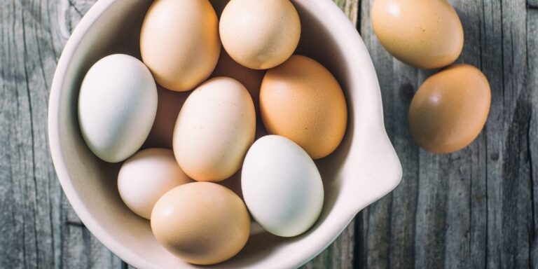 Health Benefits Of Eggs, Deciphering Egg Labels and Egg Recipes