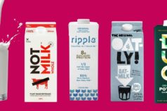 Is Plant-Based Milk Healthy: Oatly, NotMilk, Ripple and More