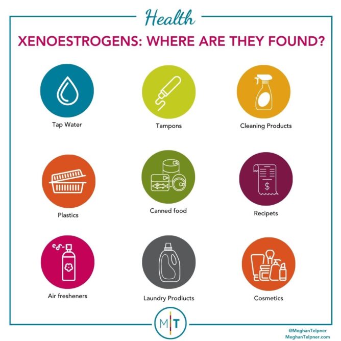 Xenoestrogens Where are they found