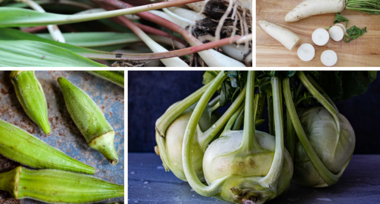 Getting to Know ‘Out of the Ordinary’ or ‘Uncommon’ Vegetables