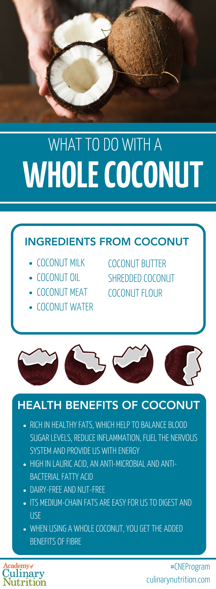 Whole Coconut
