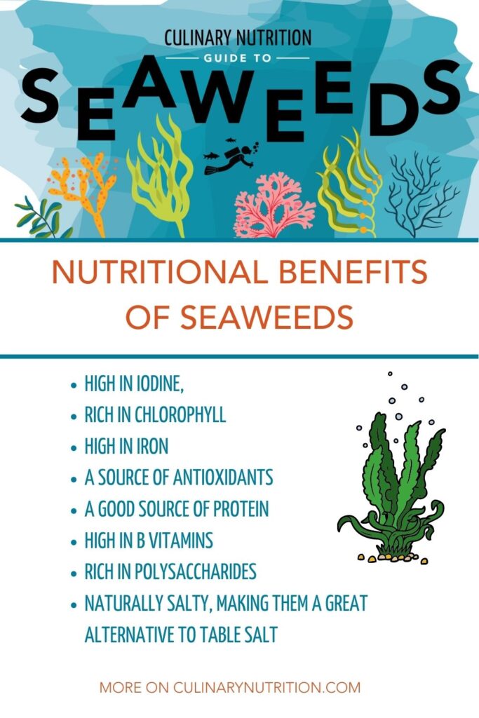 Benefits of Sea Moss Seaweeds and Sea Vegetables