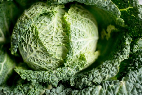 Budget friendly foods: Cabbage