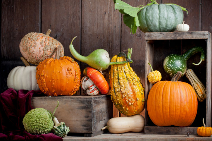 Winter Squash for colds