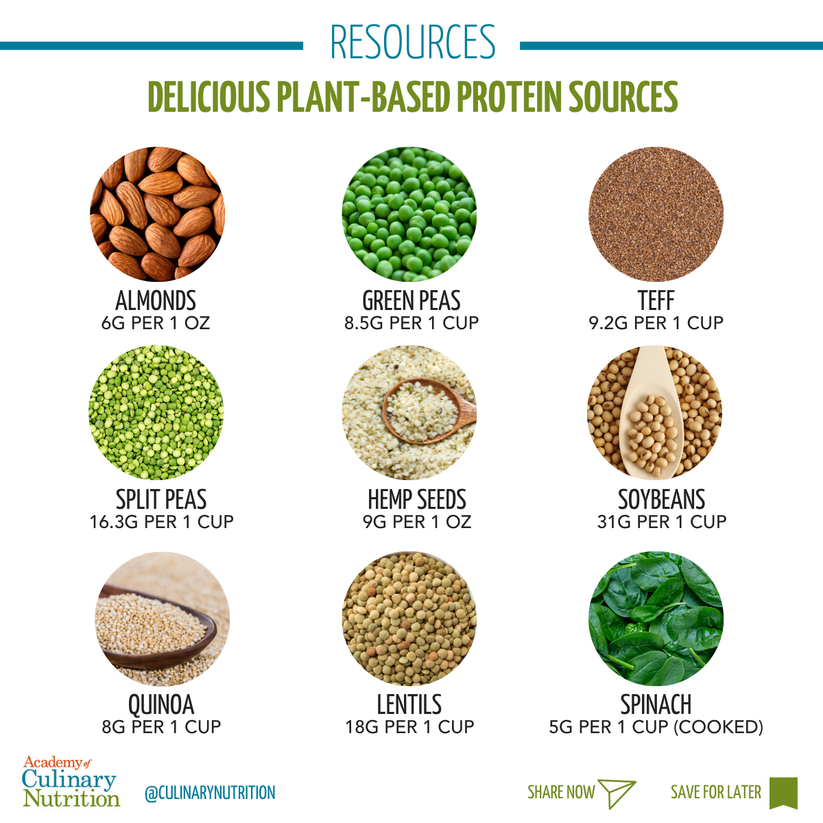 Plant-Based Protein: A Complete Guide