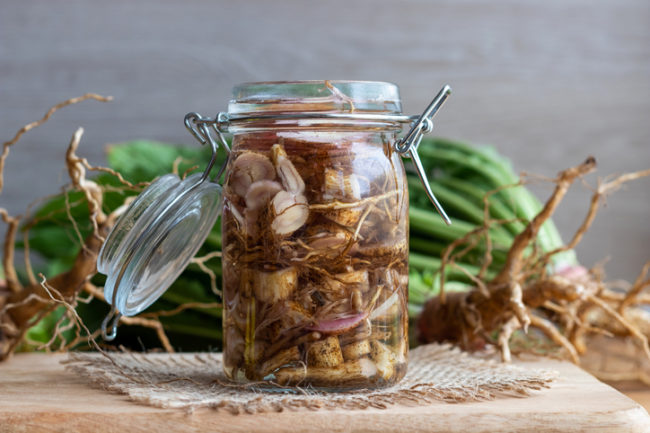 horseradish tincture