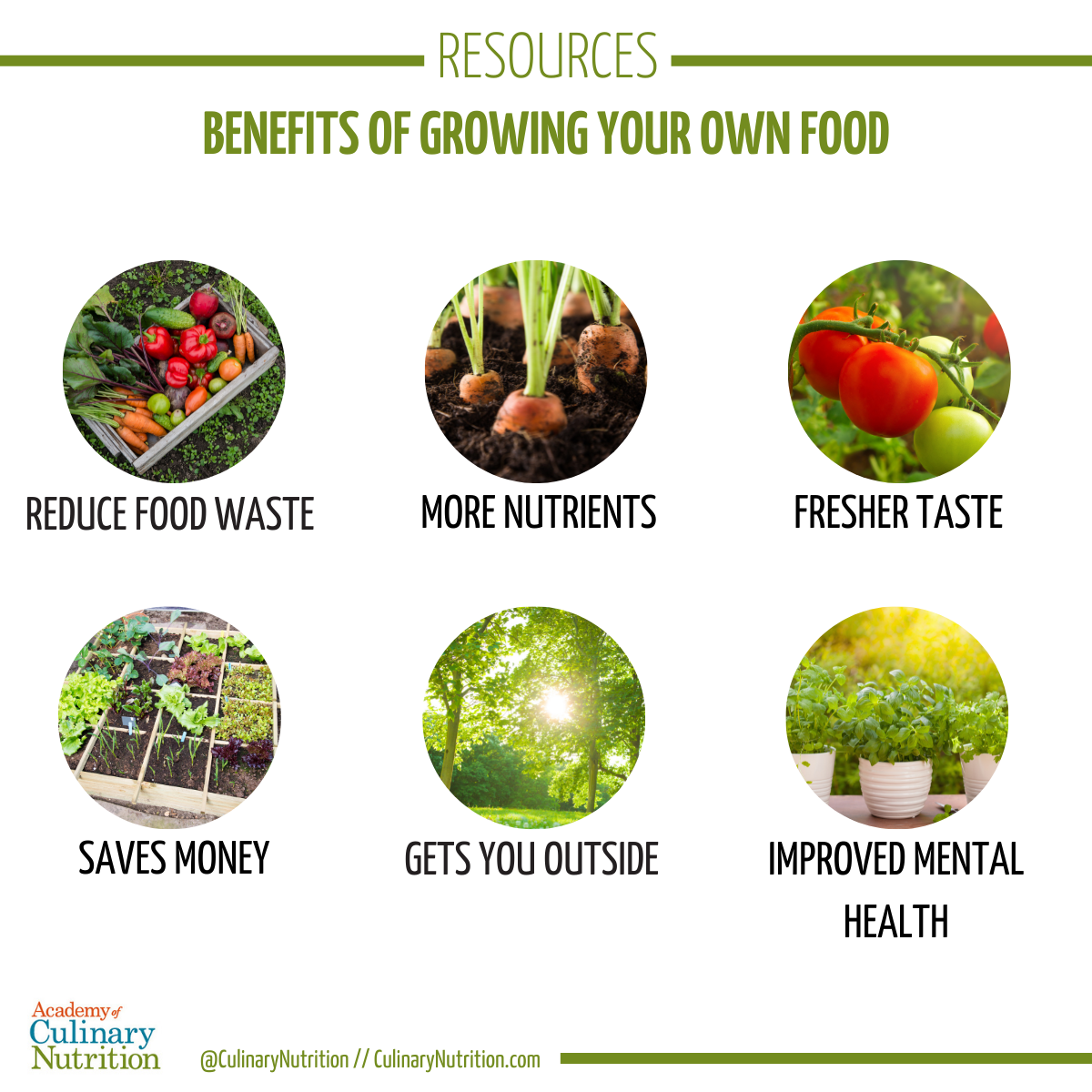 How to get started growing your food infographic