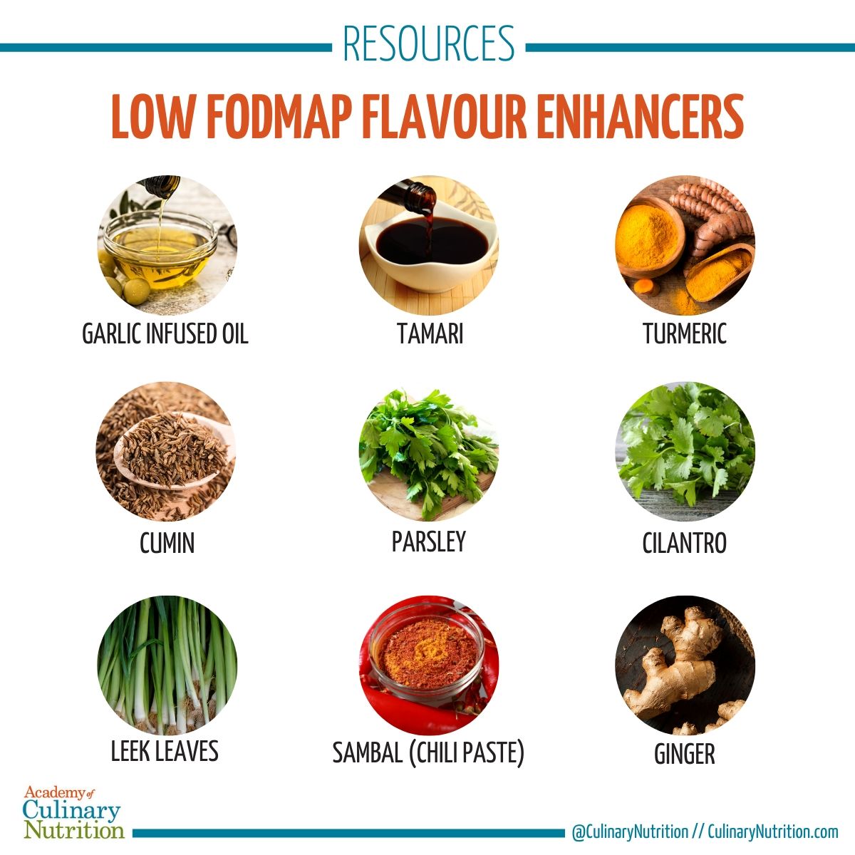 7 Low FODMAP Flavour Enhancers