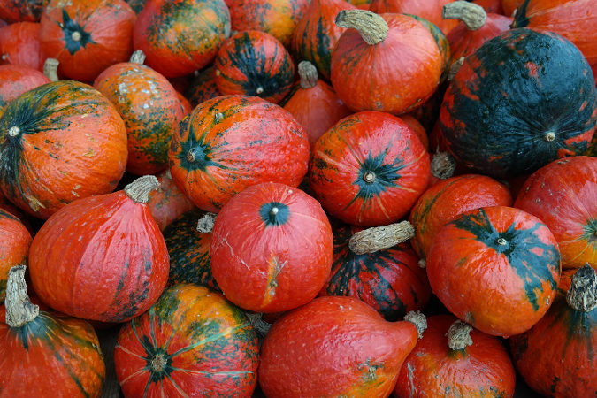 Kabocha Winter Squash