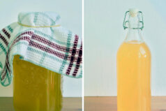 How to Brew Kombucha