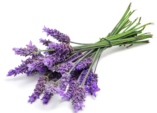 Kitchen Hacks Lavender - 20 Healing Herbs for Tea