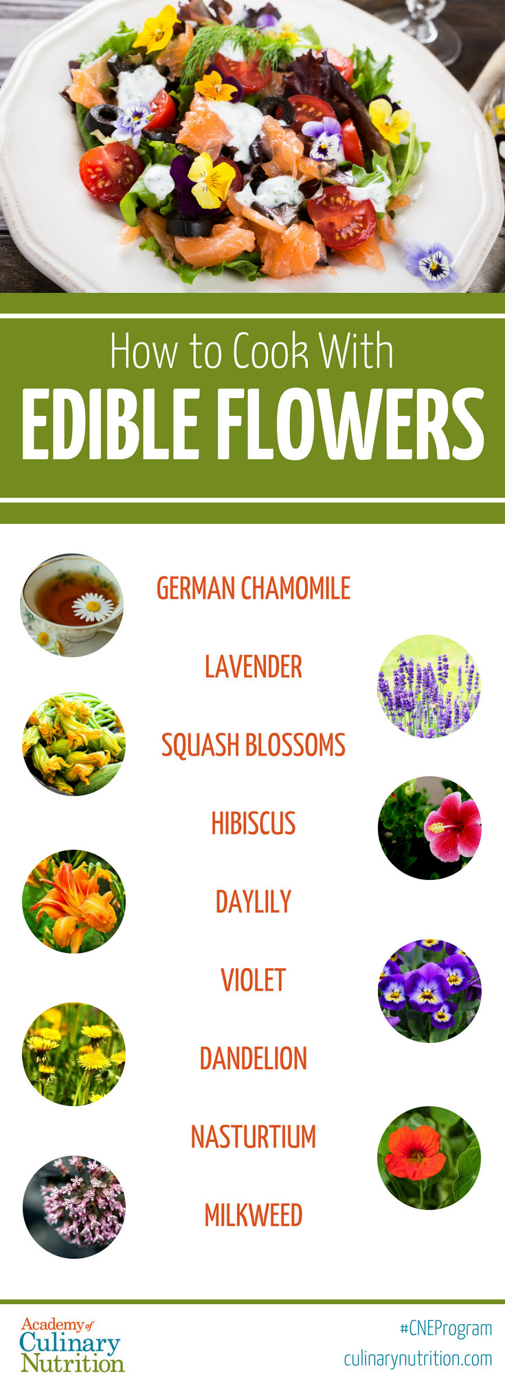 Edible Flowers