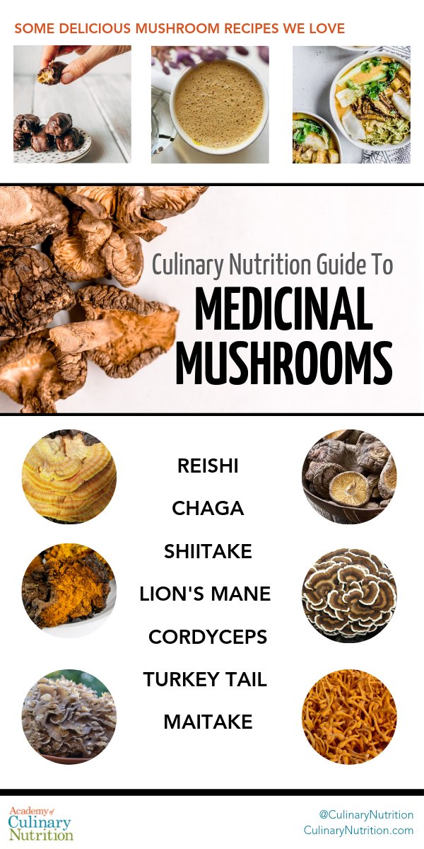 Medicinal Mushrooms