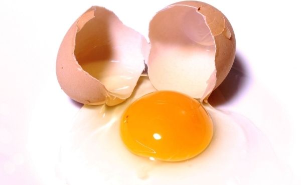 health benefits of eggs and cholesterol 