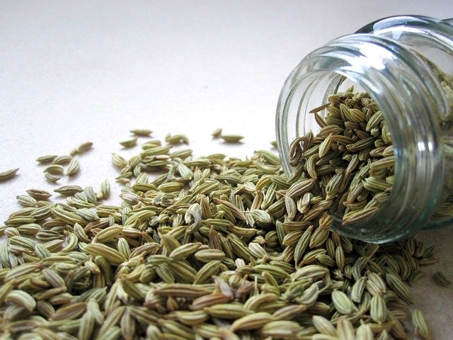 Fennel - Best foods for digestion